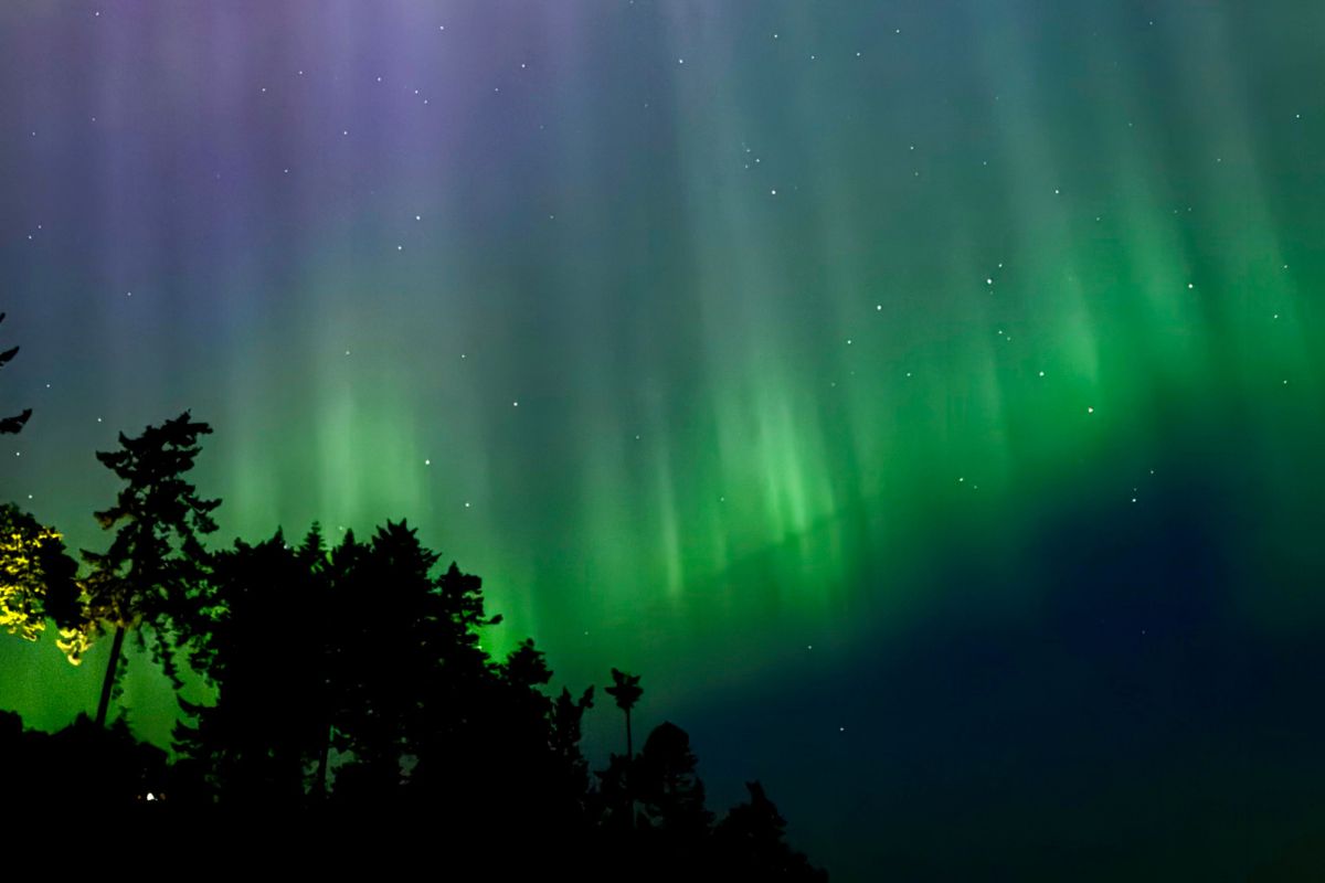 Northern lights could glow over Greater Victoria – if skies