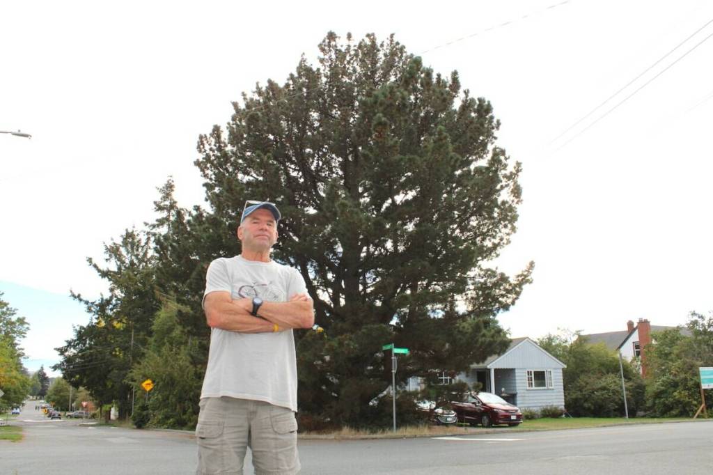 LETTER: Saanich residents still fighting for tree’s survival